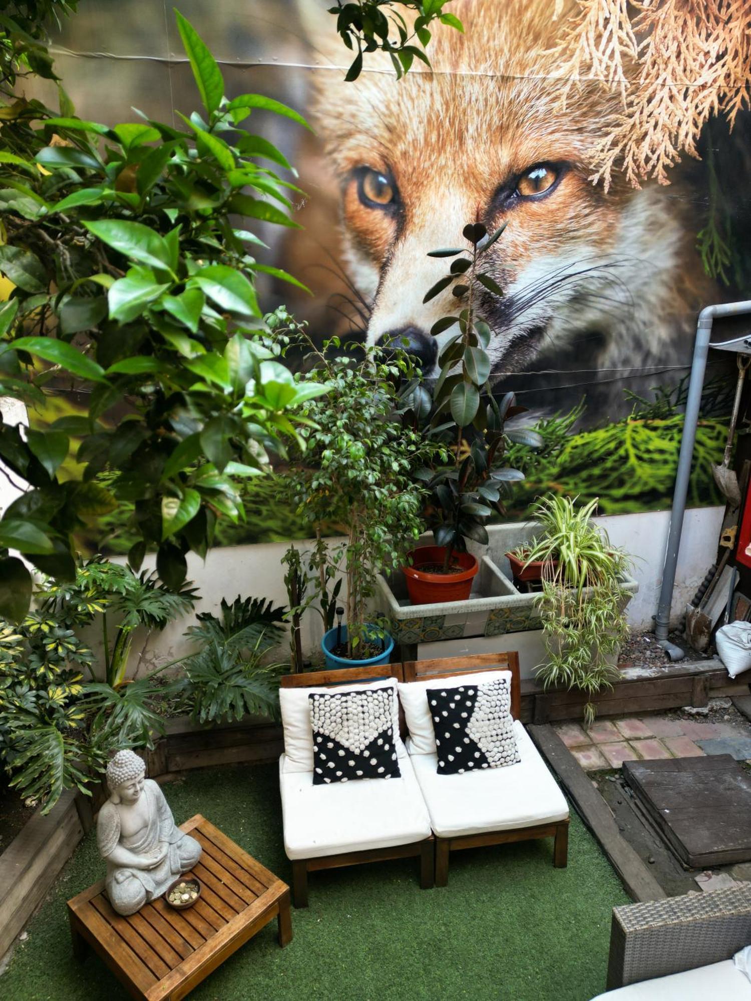 The Fox Hostel — Fotos 3